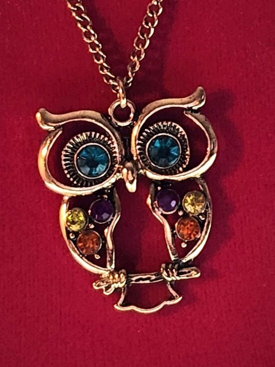 Source Unknown Jewelry - Adorable owl pendant necklace NEW